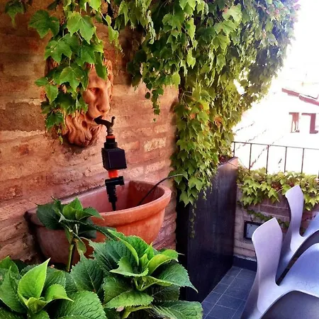 Sui Tetti Di * بولونيا