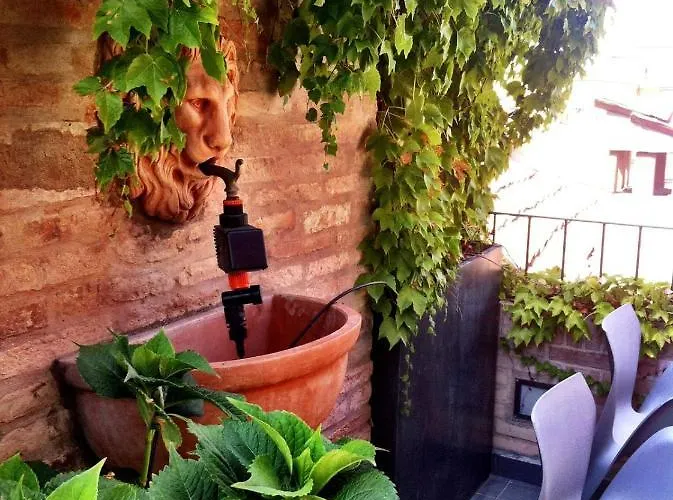 Sui Tetti Di * Bologna