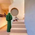 Sui Tetti Di Apartment *